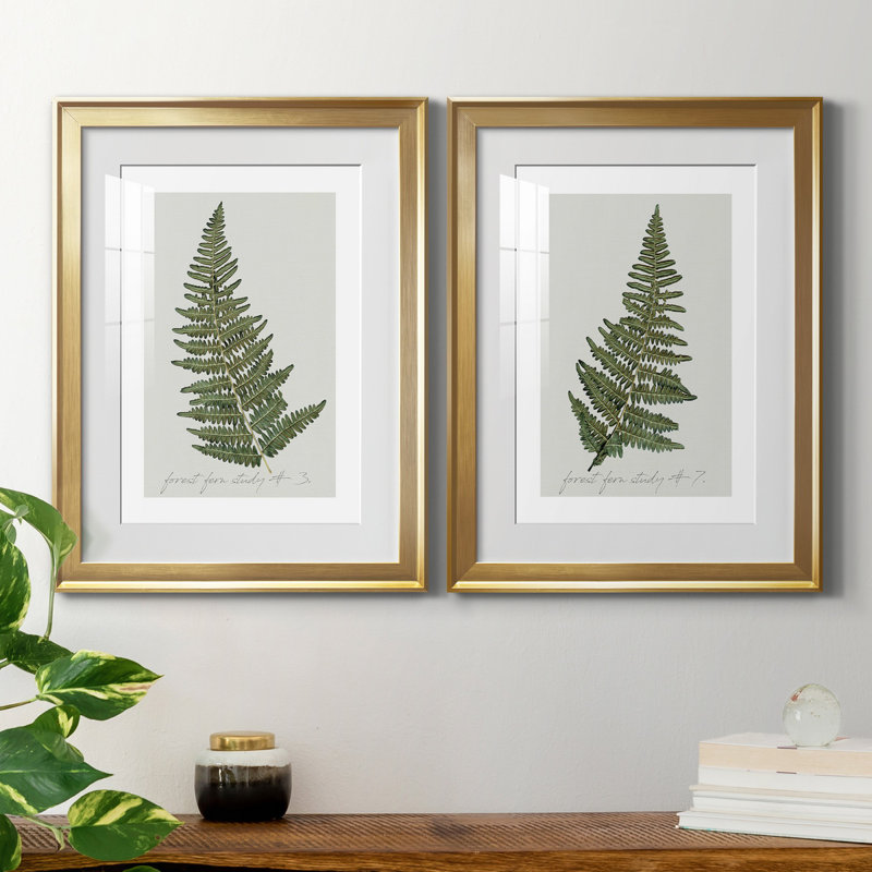 Fern Fernandes I - ensemble de 2 impressions, H 18,5 po x l 49 po x P 1,5 po, Papier encadré doré, Blanc
