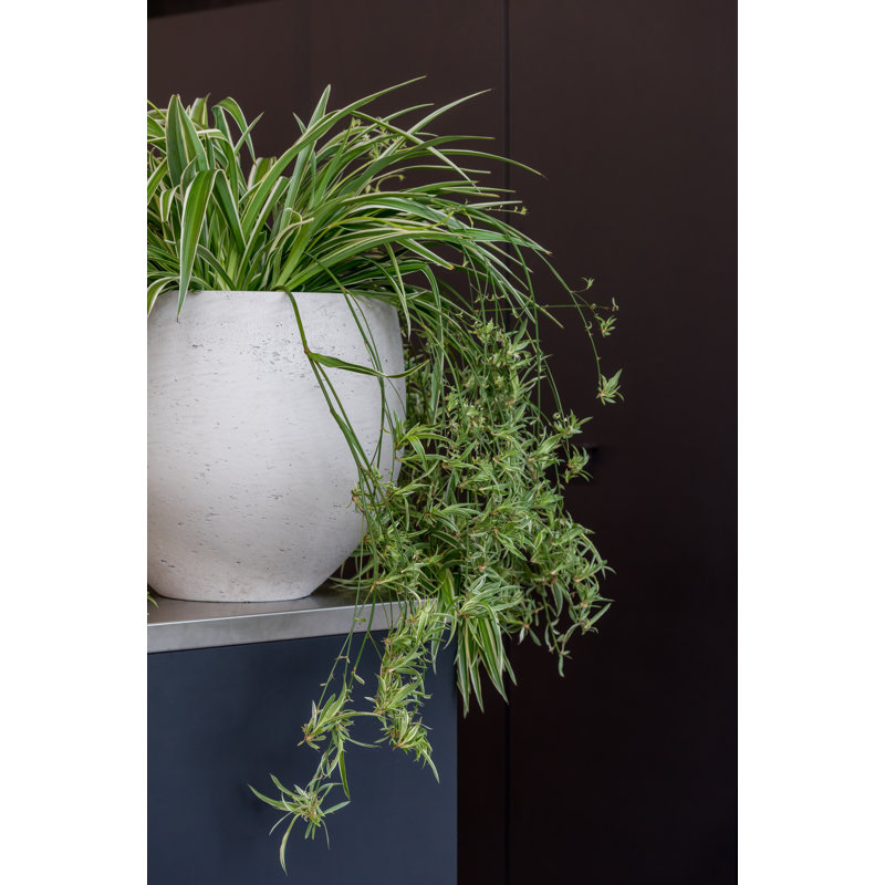 Mini orbe M, gris délavé, H 8,27 po x l 9,84 po x P 9,84 po