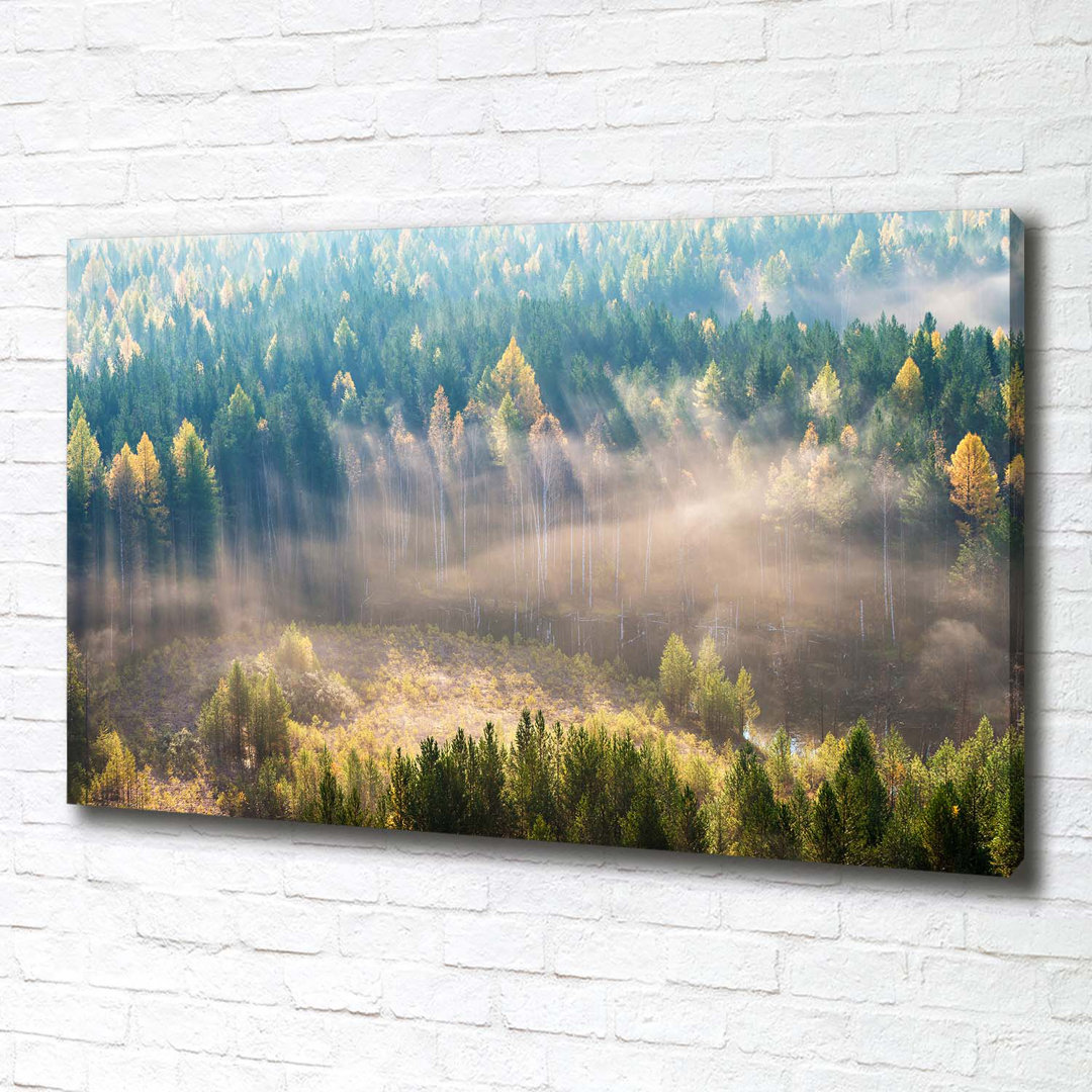 Nebel im Wald - Kunstdrucke auf Leinwand - Wrapped Canvas