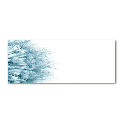 Dandelion - Wrapped Canvas Print