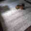 Customer photo 3 of 3