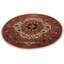 Kennetra Oriental Area Rug in Orange