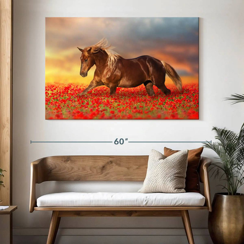 Cheval dans un champ de coquelicots, H 34 po x l 51 po