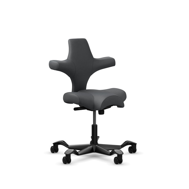 Chaise à hauteur standard réglable HœG Capisco, Noir, Standard, Gray Dove