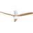 Jazimine 52'' Ceiling Fan with LED Lights