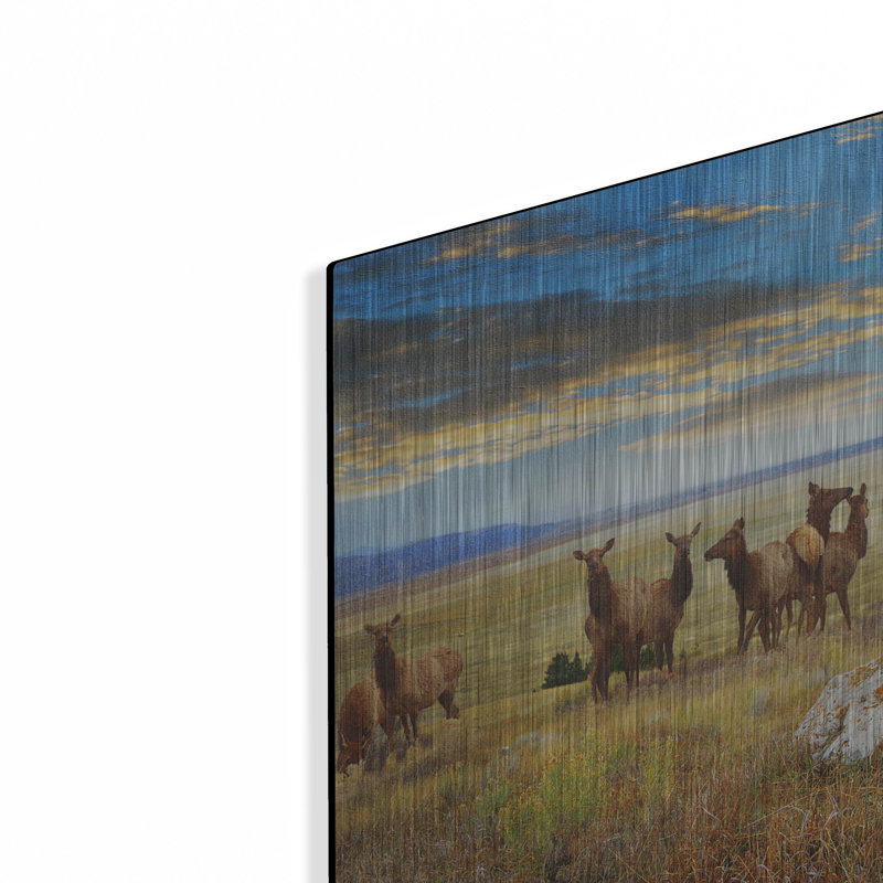 «Cairn Above Elk Refuge» par Chris Vest, H 12 po x l 16 po