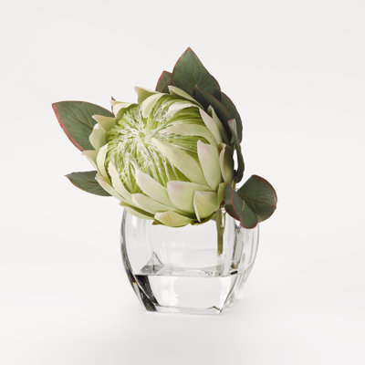 Green queen protea in glass cube