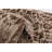 Anyce Floral Indoor Rug-1877216744