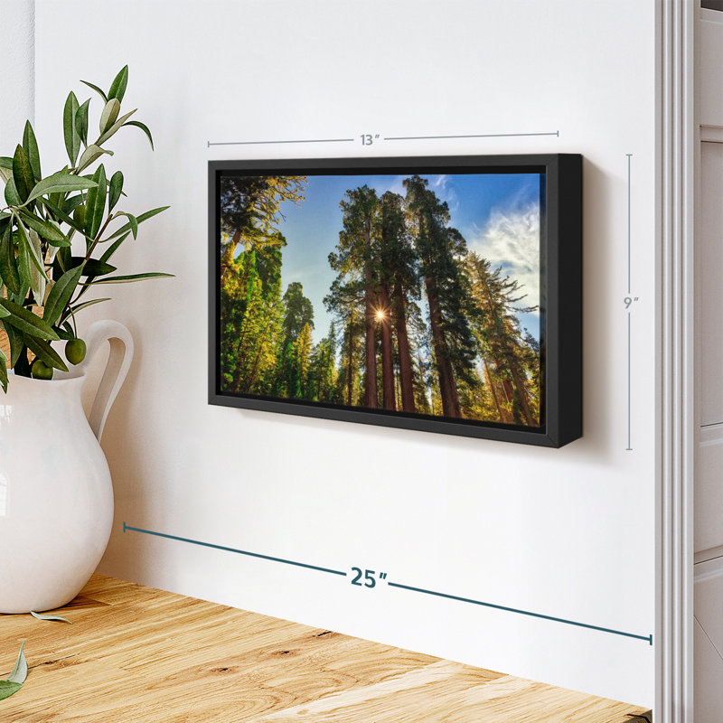 Floral et botanique «Grant Grove Trees Canvas Print», H 9 po x l 13 po