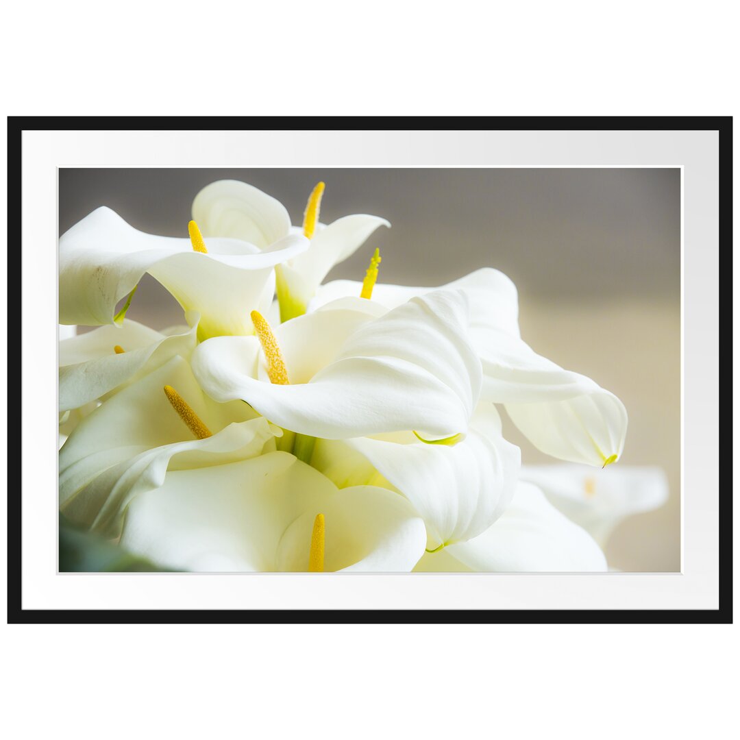 Gerahmter Fotodruck Beautiful White Calla Lilies