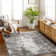 Matteo Abstract Gray Area Rug
