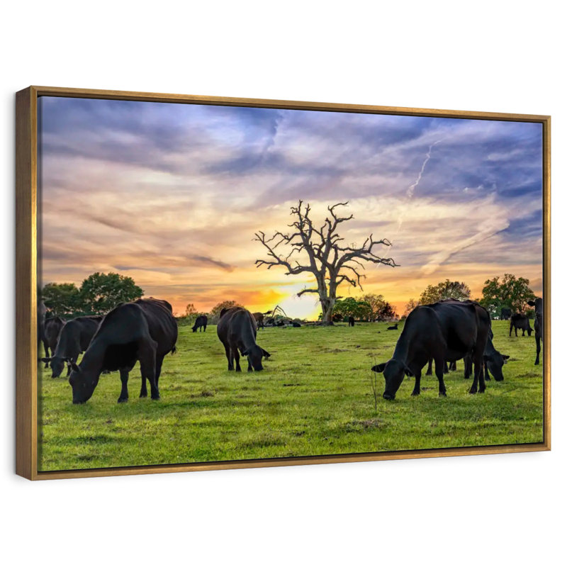 Pâturages Aberdeen Angus, 46 po x 31 po, Cadre flottant doré