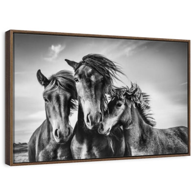 Chevaux Lemvig