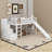 Twin Size Loft Bed With Slide-473335077