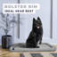 Pet Bed-1753082908