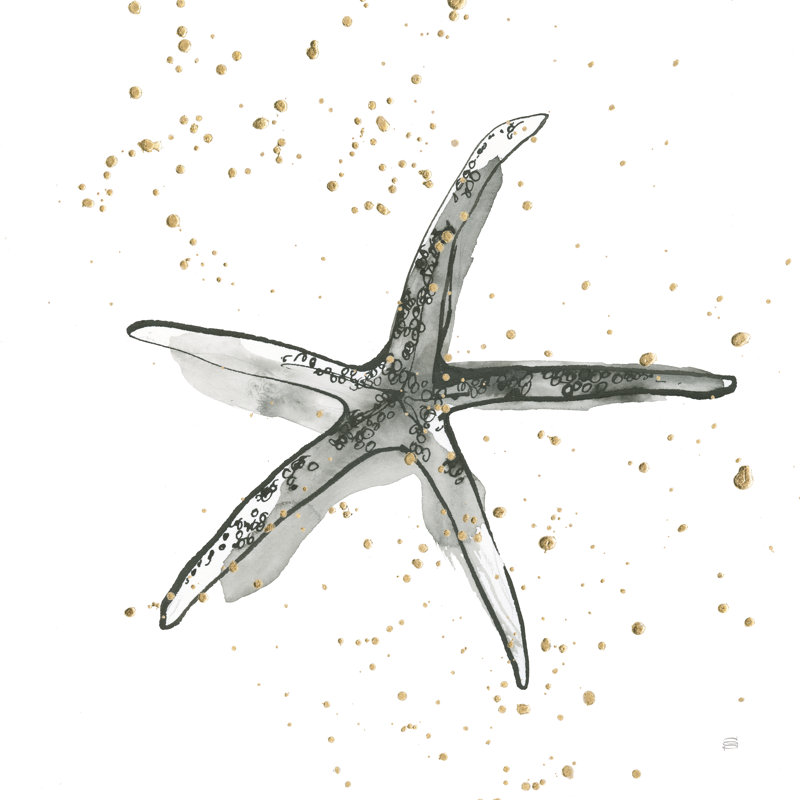 Starfish III by Chris Paschke - Wrapped Canvas Painting, 91cm H x 91cm W x 3.8cm D