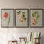 «Botanical Array IV», ensemble de 3 reproductions d'art sur toile-908556545-908556574