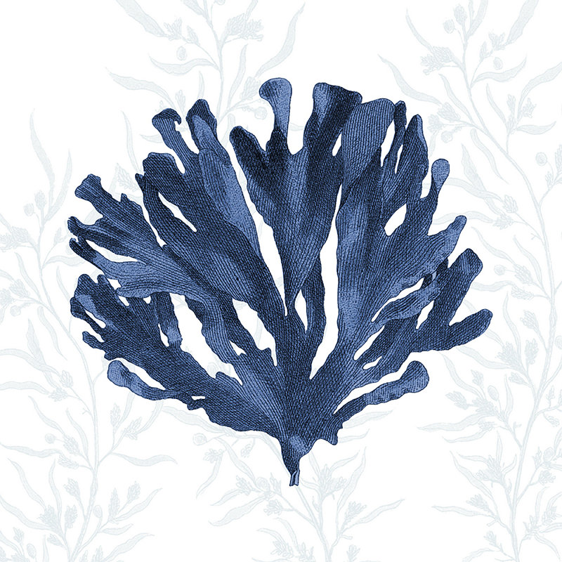 «Decorative Navy Coral II», impression sur toile tendue, H 18 po x l 18 po x P 1,5 po