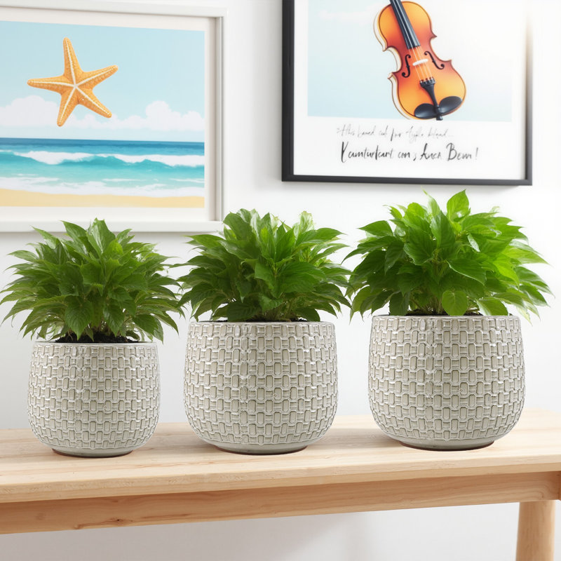 Ensemble de 3 pots de fleurs décoratifs en céramique pour l'intérieur et l'extérieur avec trou de drainage 9 po