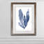 « algues under water iv »-cadre photo imprimé sur verre-302776093-302776088