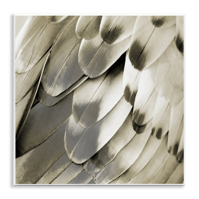 «Elegant Feathers Gros plan» par Julia Bosco