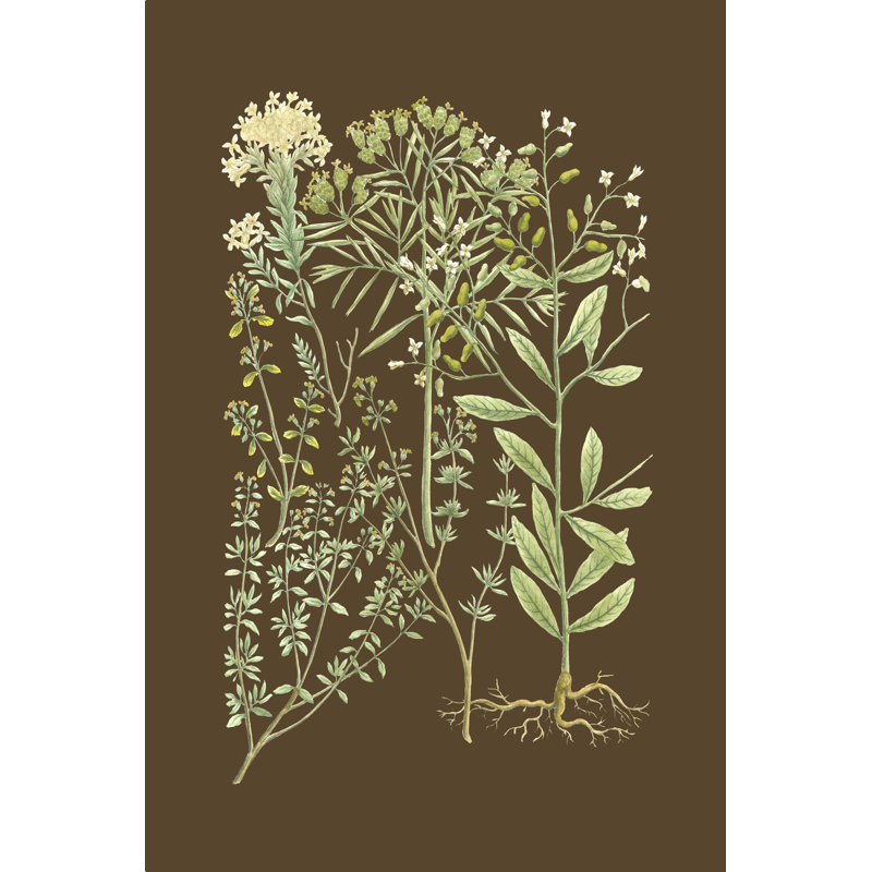 Verdure biologique III, H 36 po x l 24 po x P 1,25 po