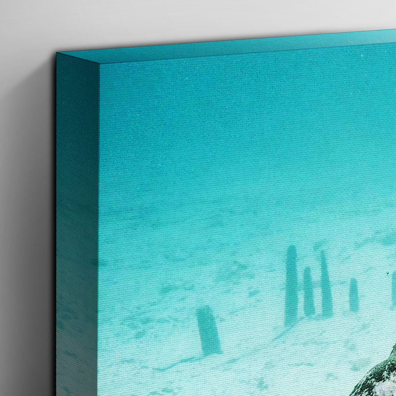 Manatee Photographic - Wrapped Canvas, 50cm H x 76cm W