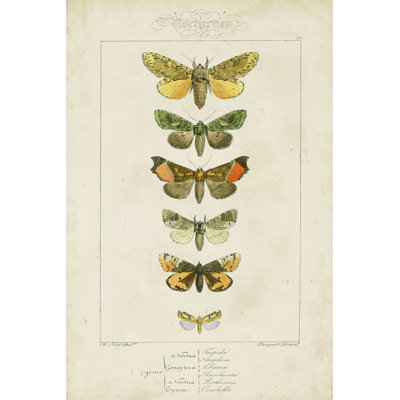 «Mauve Butterflies II» par Claude Mauve - reproduction d'art sur toile tendue
