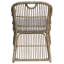 Theo Rattan Arm Chair with Cushion