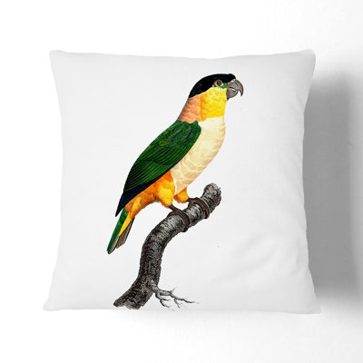 A Black-Headed Parrot Square Throw Cushion