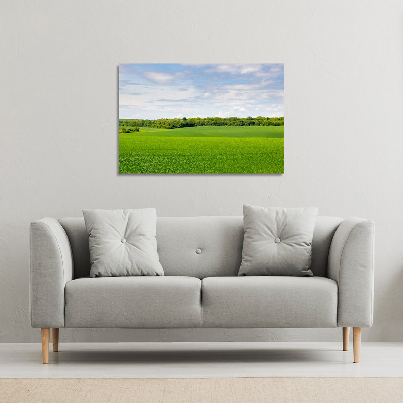 Summer Landscape With Hilly Green Field And Forest In The Distance Canvas Print by Andrew Lee - Wrapped Canvas Print