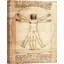 Vitruvian Man by Leonardo Da Vinci - Print on Canvas-1136970556