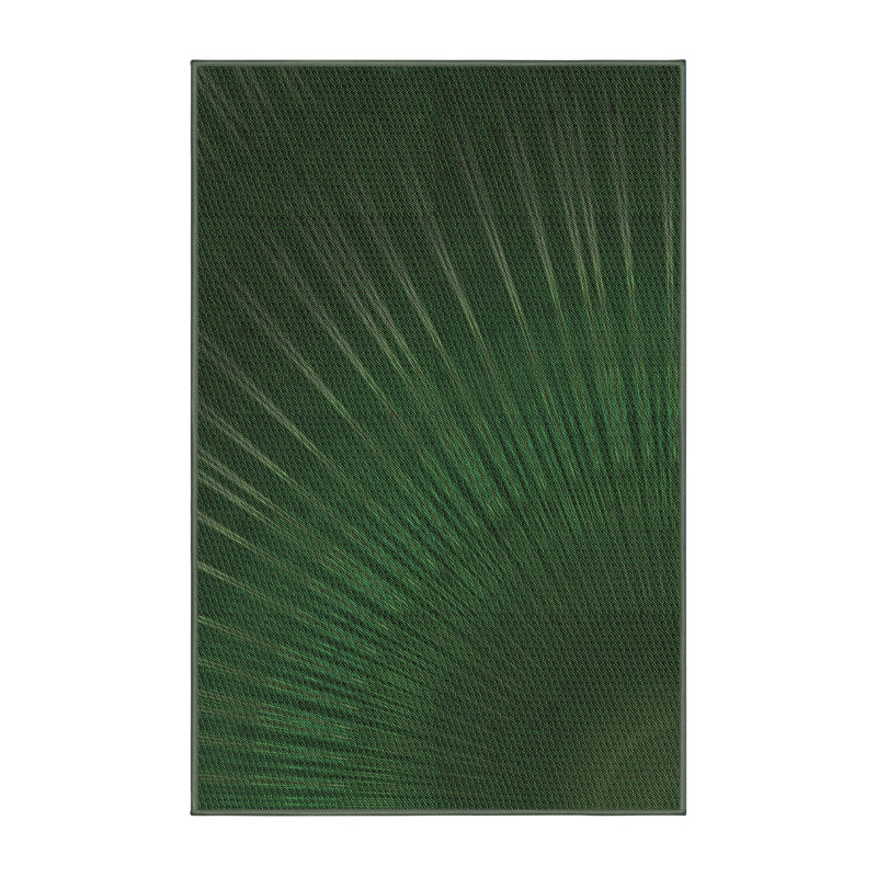 Indoor Rug, Rectangle 4' x 6'