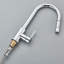 Belfry Kitchen Waldron Pull Out Kitchen Faucet