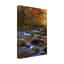 «Autumn on Little River» par Danny Head - impression sur toile-33425748