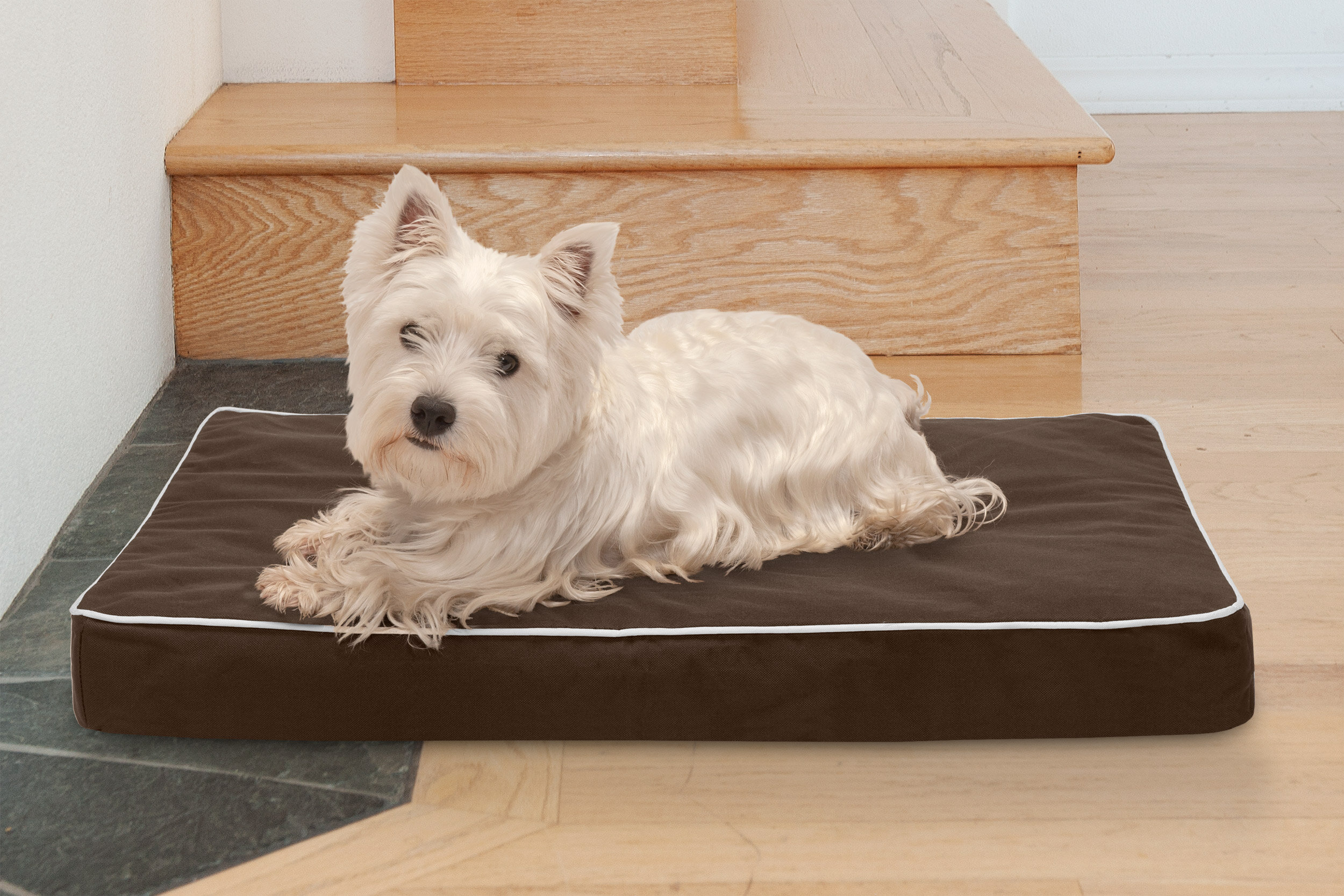 Orthopedic Dog Beds made in Los Angeles, USA