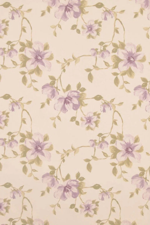 The Allure Collection