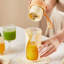 Extracteur de jus de fruits ménager-130490841
