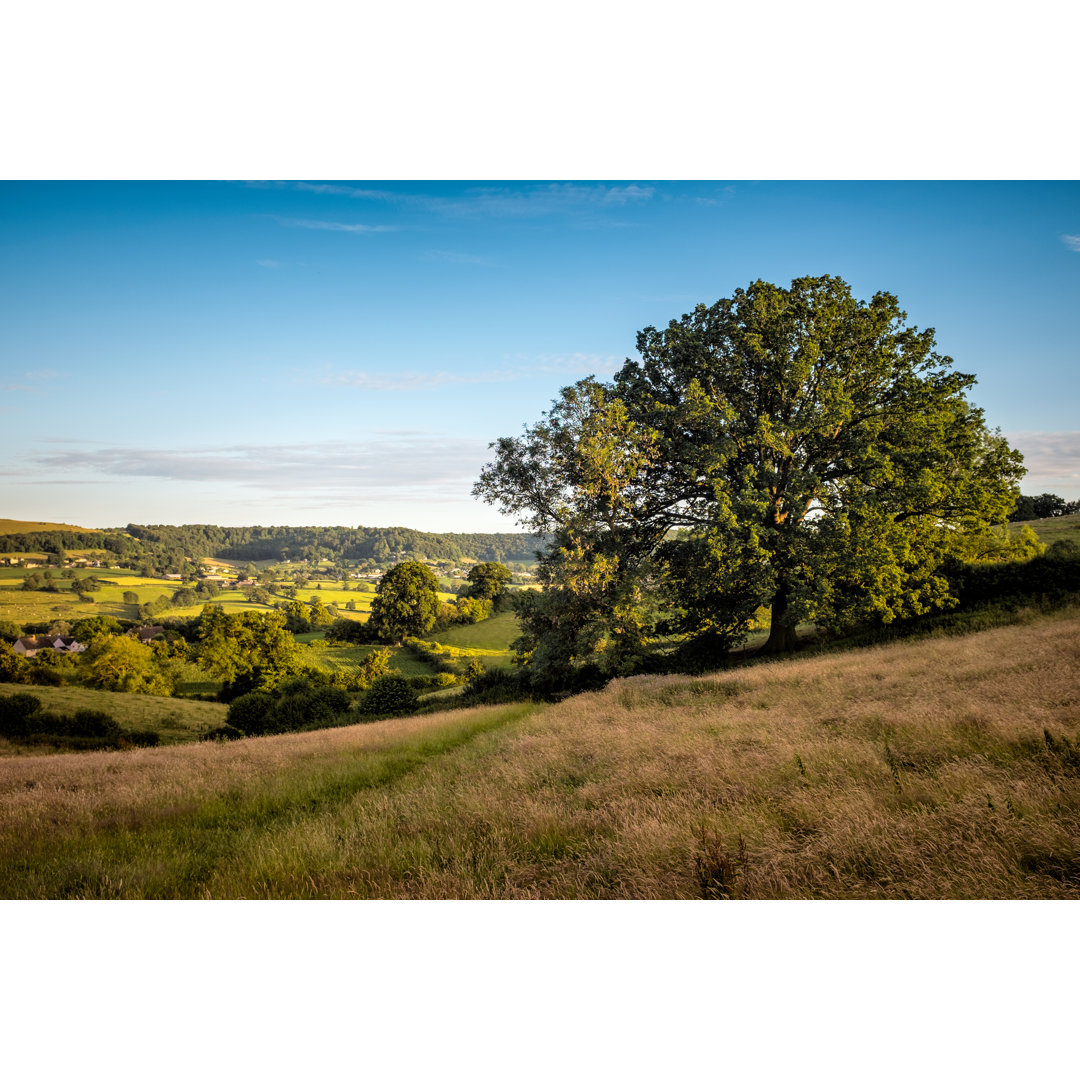 A Summers Day von Tbradford - Drucken