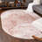 Boyland Oriental Indoor Rug-461767670