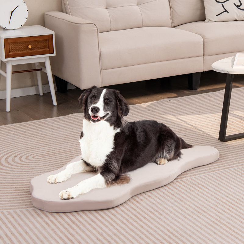 Tattnall Pet Bed, White