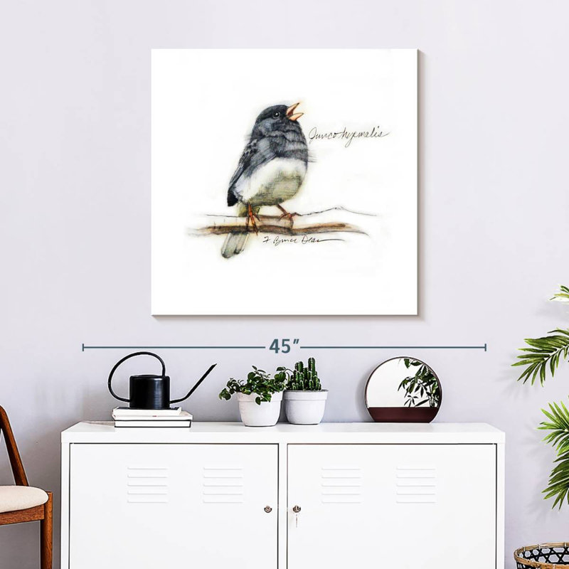 Crowle Junco II