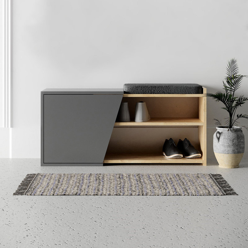 Baneen 8 Pair Shoe Storage Cabinet