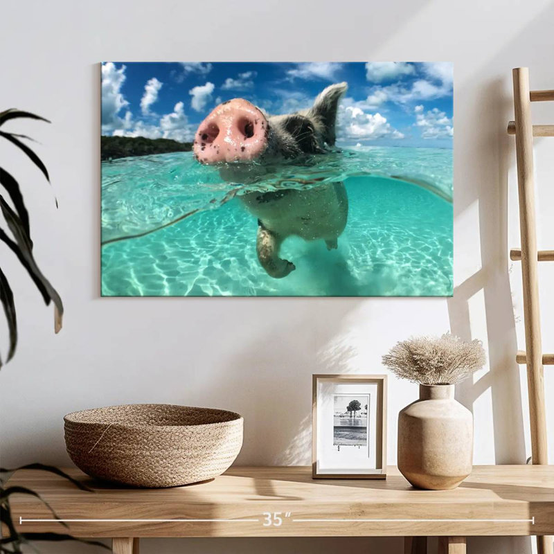 Brampt Swimming Pig, 16" H x 24" W