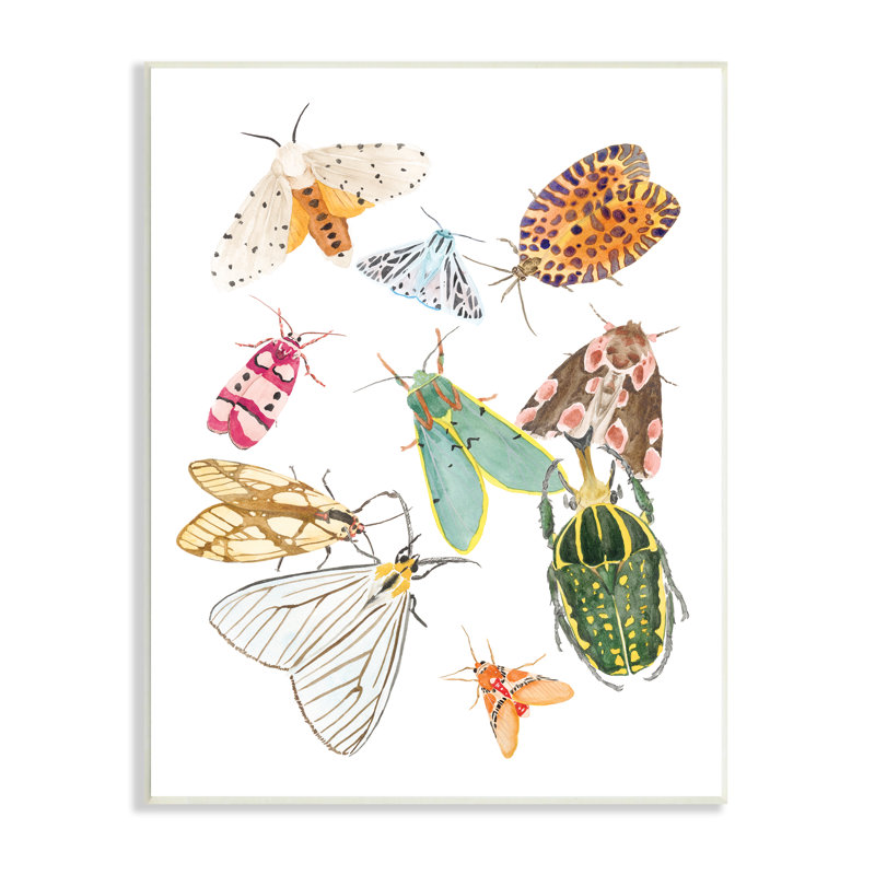 Insectes ailés de couleur tropicale - peinture, H 15 po x l 10 po x P 0,5 po, Sans cadre