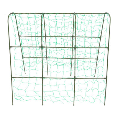 Treillis de jardin pour les plantes grimpantes