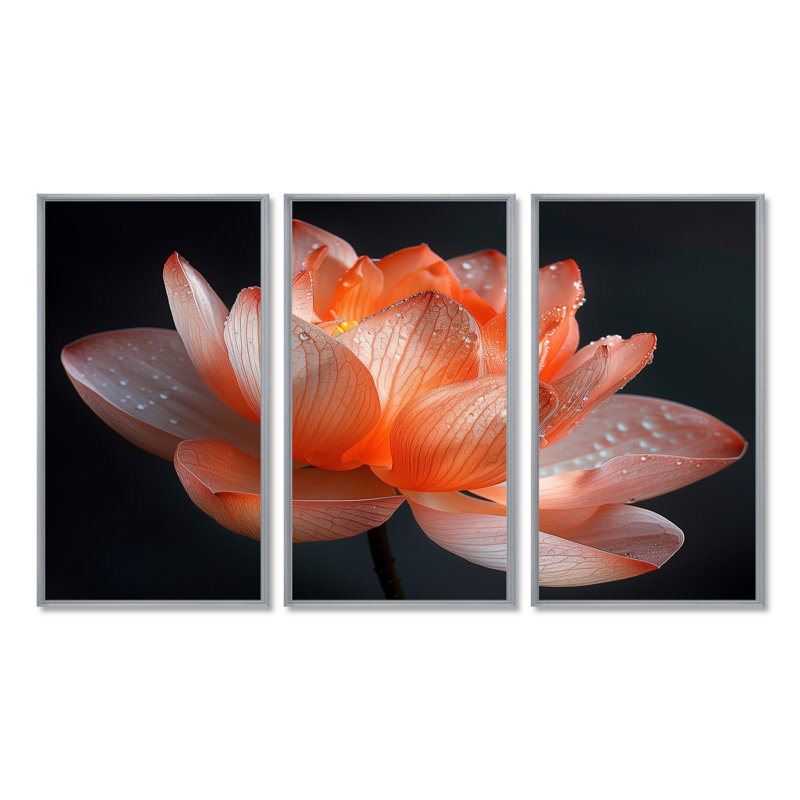 Orange orange, gris, glamour, lotus photo II - lotus, art mural, Toile argentée avec cadre flottant