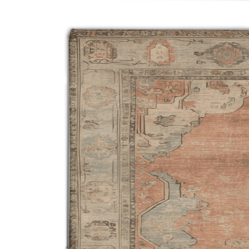Tapis intérieur et extérieur brun Overdyed, Rectangulaire 2 pi x 3 pi