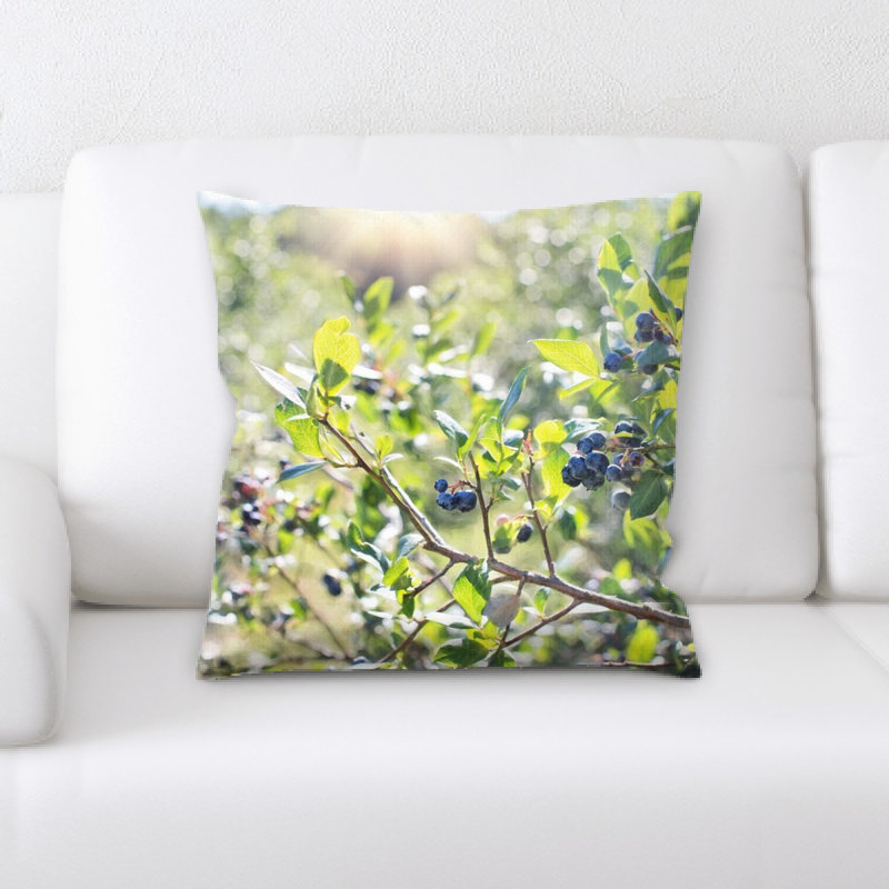 Coussin blueberries
