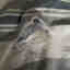 Photos des clients 2 de 3
